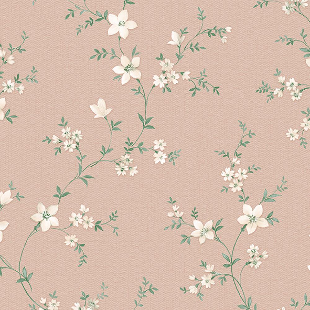 Обои Alessandro Allori  Bruni - арт. RBN1001-05