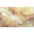 Фотообои/фрески  Affresco Labirint, арт. AF2360-COL2