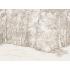 Фотообои/фрески  Affresco: Infinito Walls, арт.  2366-COL1