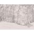 Фотообои/фрески  Affresco: Infinito Walls, арт.  2364-COL4