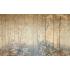 Фотообои/фрески  Affresco: Infinito Walls, арт. 2367-COL3