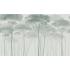 Фотообои/фрески  Affresco: Infinito Walls, арт.  2370-COL3