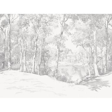 Фотообои/фрески  Affresco: Infinito Walls, арт.  2366-COL2