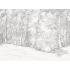 Фотообои/фрески  Affresco: Infinito Walls, арт.  2366-COL2