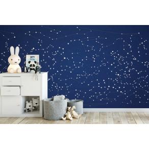 Дизайнерские Фотообои Alltowall, Карта созвездий арт. S052