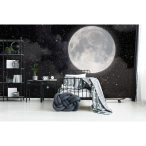 Дизайнерские Фотообои Alltowall, Лунный свет 1 арт. S388