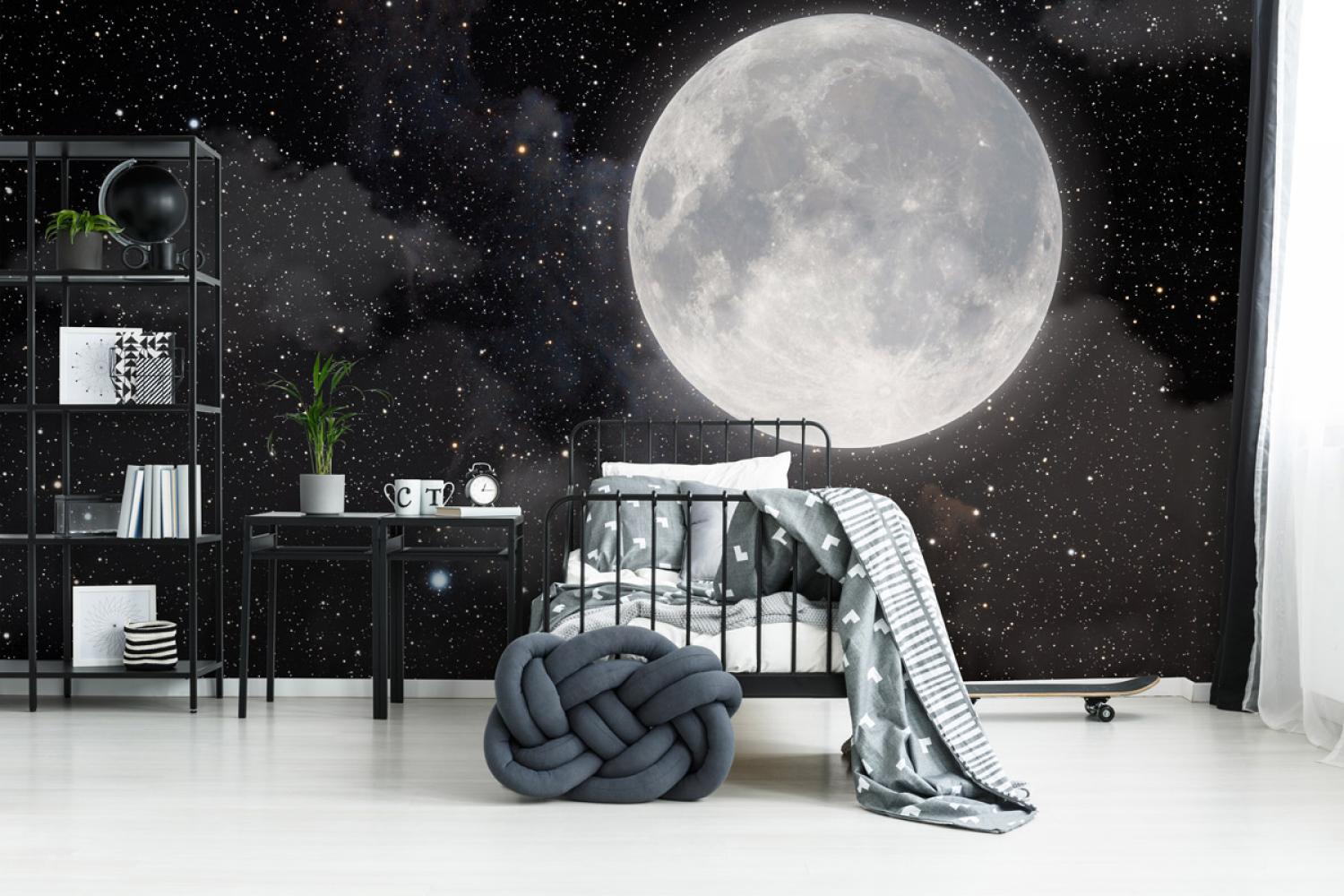 Дизайнерские Фотообои Alltowall, Лунный свет 1 арт. S388