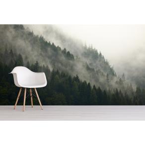 Дизайнерские Фотообои Alltowall, Загадочный  лес арт. S005