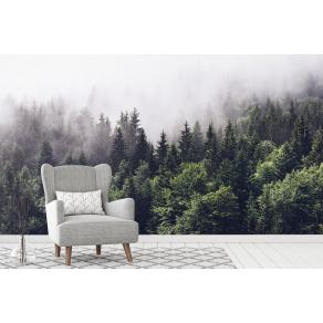Дизайнерские Фотообои Alltowall, Загадочный туманный лес арт. S051