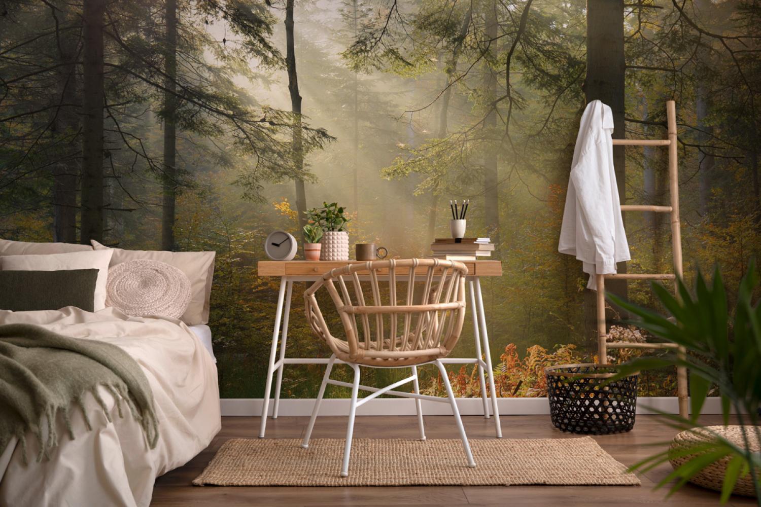 Дизайнерские Фотообои Alltowall, Солнечный лес арт. S634