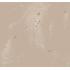 Дизайнерские Фотообои Applico, Сакура арт. B 0074-GL2