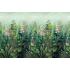Обои Holden Decor Arboretum - 99423