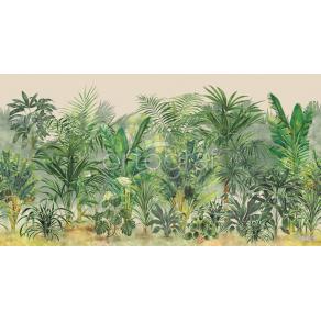 33669 Tropical forest