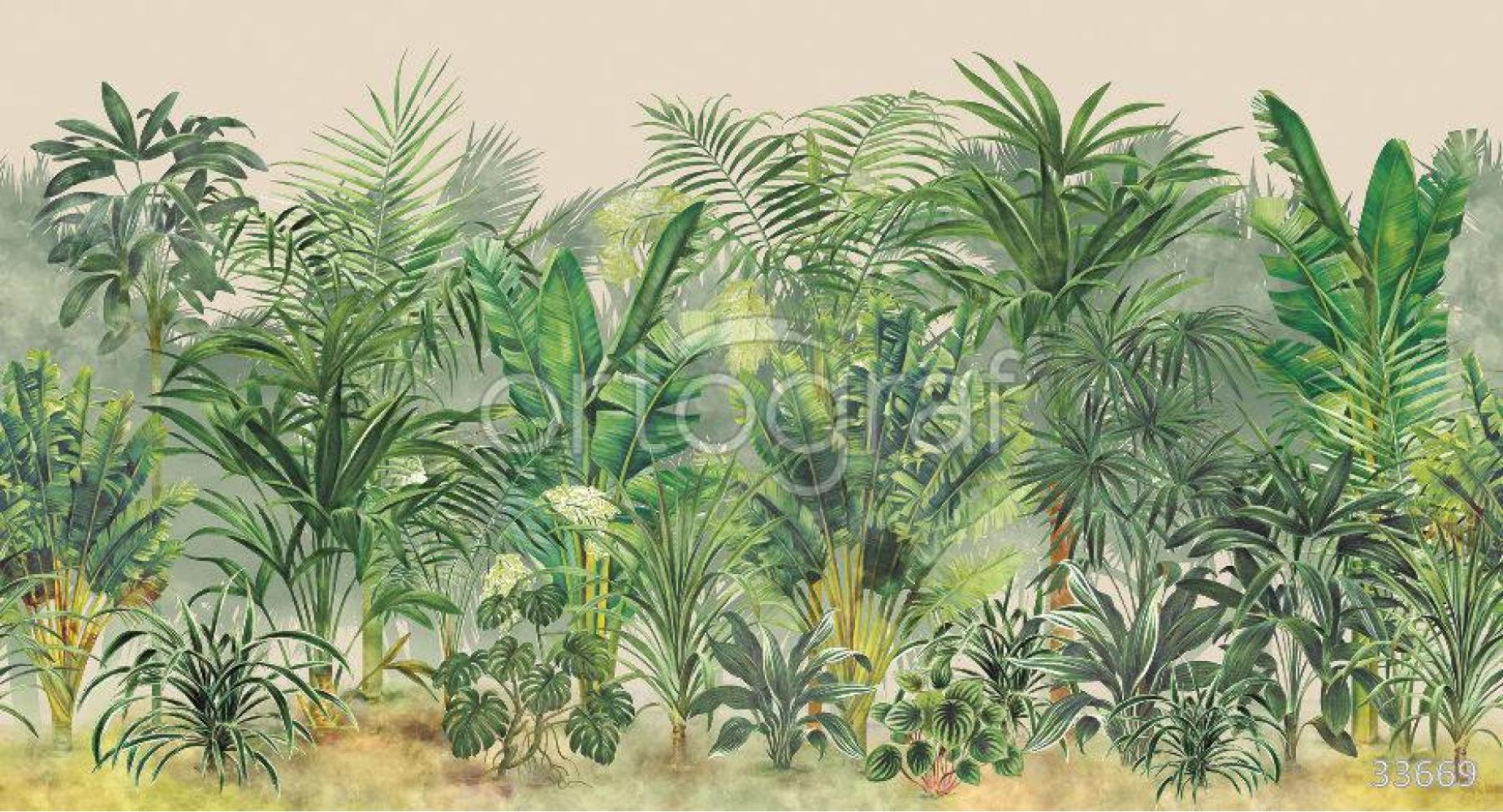 Фрески и фотообои Ortograf 33669 Tropical forest