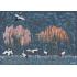 Фотообои/фрески 33959 Valley of storks