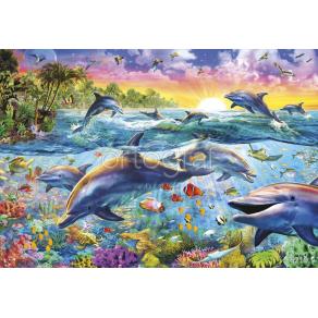 Фотообои/фрески 6219  Дельфины тропических морей