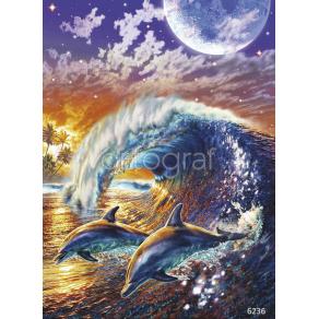 Фотообои/фрески 6236  Дельфины на рассвете