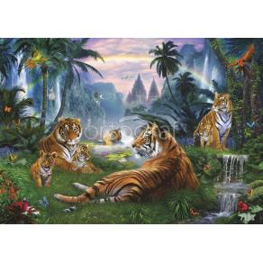 Фотообои/фрески  7111   Тигры у озера