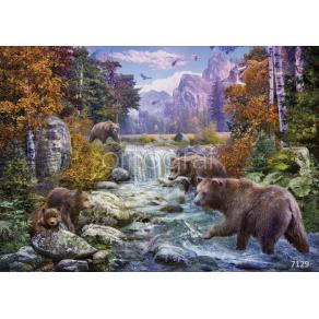 Фотообои/фрески  7129 Bear In Mountains