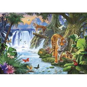 Фотообои/фрески 7915  Тигры