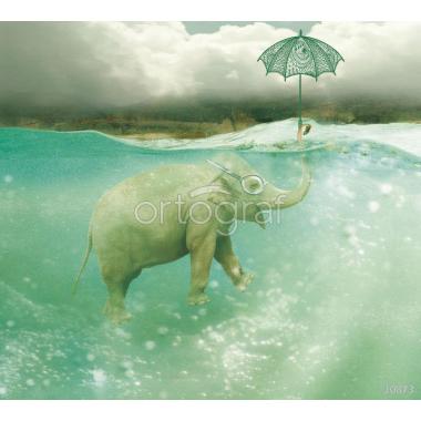 Фотообои/фрески Ortograf 10873 Купающийся слон