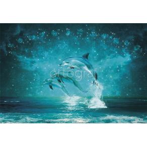 Фотообои/фрески  6670 Дельфины и знаки зодиака