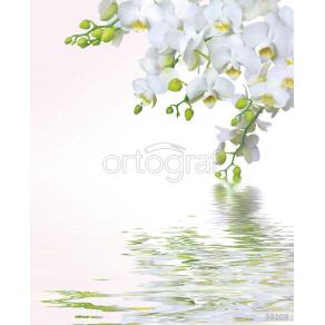 Фотообои/фрески 3D Эффект арт  33209 Орхидеи над водой