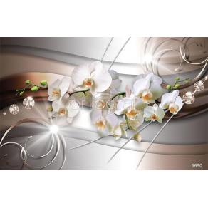 Фотообои/фрески 3D Эффект арт 6690 Ветка орхидеи