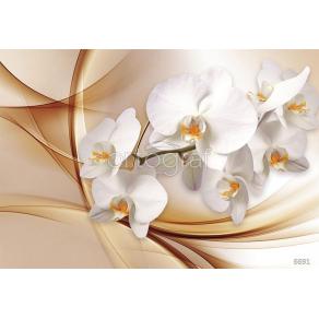 Фотообои/фрески 3D Эффект арт. 6691 Орхидея и шёлк