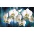 Фотообои/фрески 3D Эффект арт 6714 Орхидеи в неоне