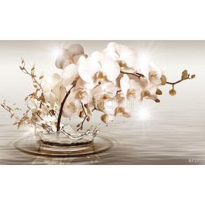 Фотообои/фрески 3D Эффект арт 6717 Веточка орхидеи