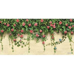 Фотообои/фрески 3D Эффект арт  6664 Розы и бабочки на стене