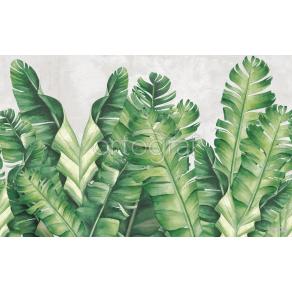 Фотообои/фрески Oasis арт. 32702 Banana leaves green