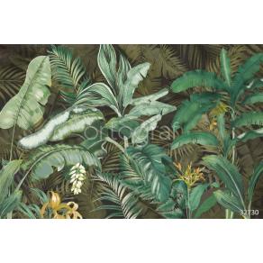 Фотообои/фрески Oasis арт. 32730 Jungle green