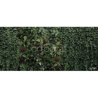 Фотообои/фрески Oasis арт. 32747 Living wall