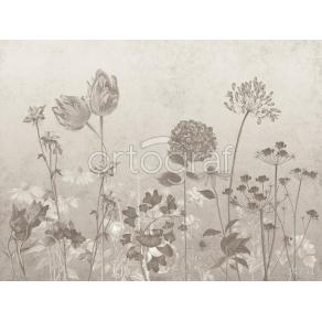 Фотообои/фрески 34741 Grey wildflowers
