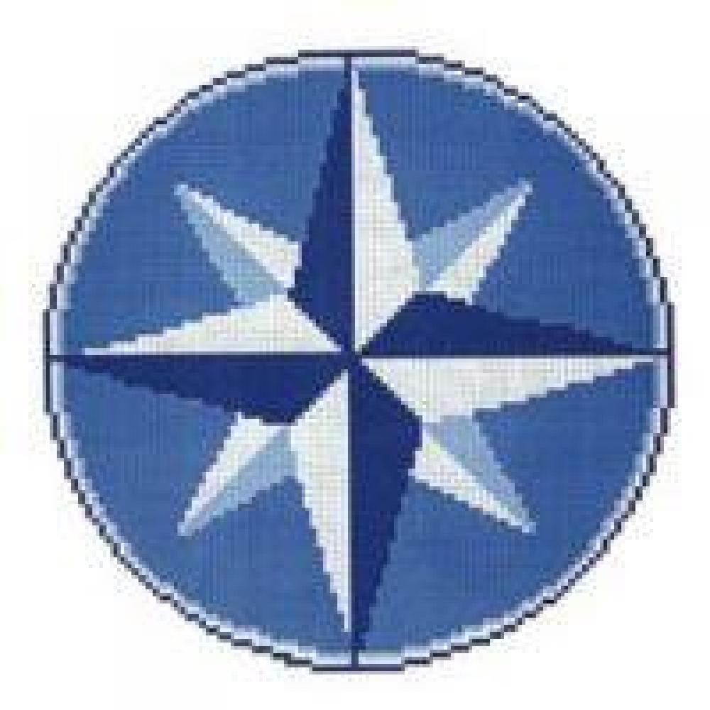 Мозаика NSmosaic-F-222