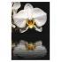 Мозаика Панно Орхидея - HK Pearl 34567
