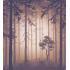 Фотообои Dark Side 15 CityDecor