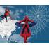 Фотообои Superhero карта мира Spider-Man 4 CityDecor