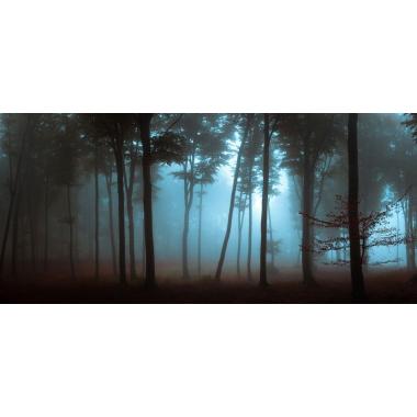 Фотообои Природа 1 CityDecor
