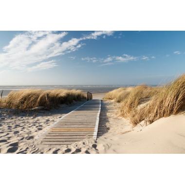 Фотообои Природа 13 CityDecor