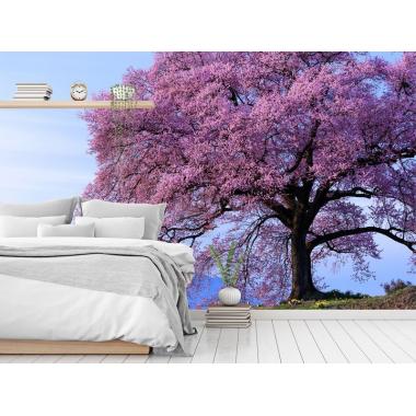 Фотообои Природа 22 CityDecor