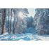Фотообои Природа 31 CityDecor