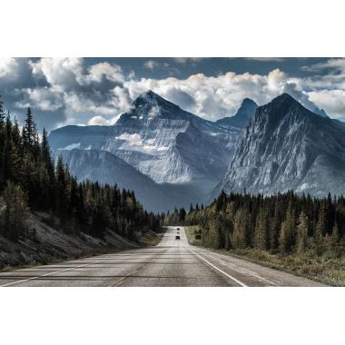Фотообои Природа 35 CityDecor