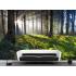 Фотообои Природа 36 CityDecor