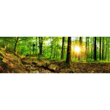 Фотообои Природа 37 CityDecor