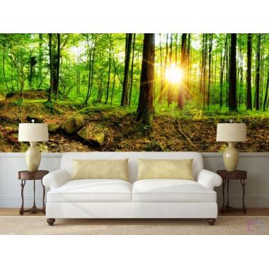 Фотообои Природа 37 CityDecor