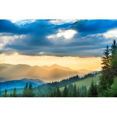 Фотообои Природа 40 CityDecor