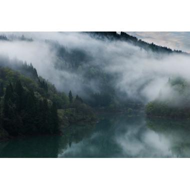 Фотообои Природа 5 CityDecor